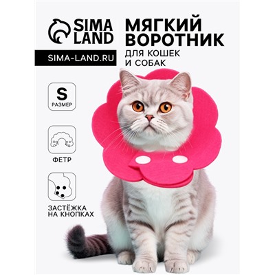 Ветеринарный воротник из фетра "Ромашка", размер S, фуксия