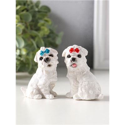 Сувенир полистоун "Белые терьеры с бантиками" набор 2 шт 3,7х5,2х6,2 см