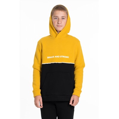 Толстовка М224098Па