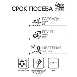 Семена Гвоздика "Индийский Ковер", ц/п,  0,2 гр.