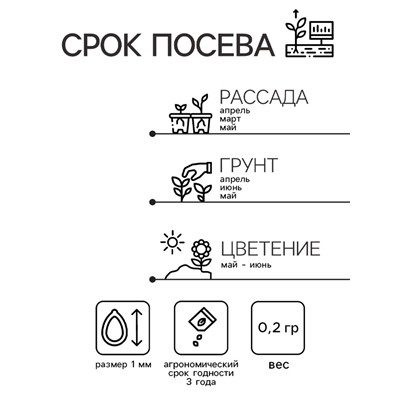 Семена Гвоздика "Индийский Ковер", ц/п,  0,2 гр.