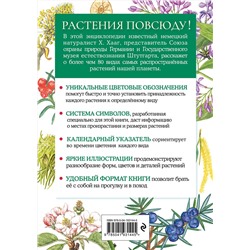 Эксмо Хольгер Хааг "Растения. Краткий иллюстрированный справочник"