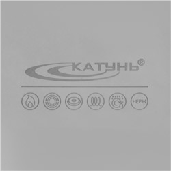 Кастрюля Катунь «Общепит», 8 л, d=30 см, h=12 см, капсульное дно, индукция, нержавеющая сталь