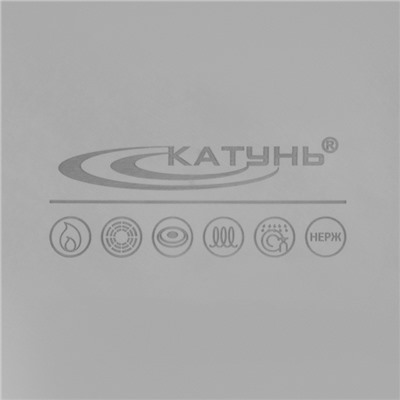 Кастрюля Катунь «Общепит», 8 л, d=30 см, h=12 см, капсульное дно, индукция, нержавеющая сталь