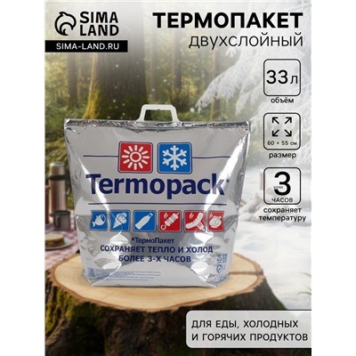 Термопакет двухслойный, металлизированный, 60×55 см, для еды, холодных и горячих продуктов