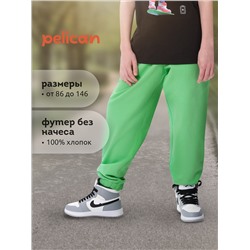 PELICAN Брюки