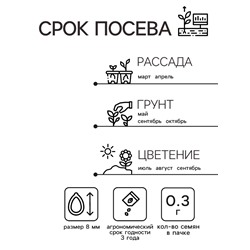 Семена Астра «Принцесса Кристина», 0.3 г, «Агрос»