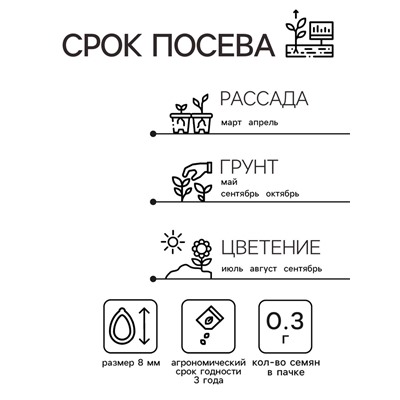 Семена Астра «Принцесса Кристина», 0.3 г, «Агрос»