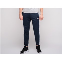 Брюки спортивные Adidas