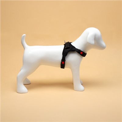 Шлейка К7, размер М, ОГ 52-66 см, вес 9.5-17.5 кг, мягкая, светоотражающая, чёрная