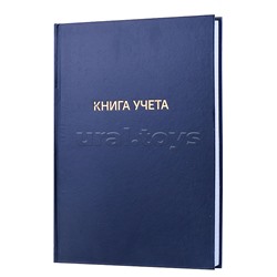 Книга учета A4 192 л в клетку, офсет 60 г/м², 92% белизна, твердая обложка из бумвинила, тиснение фольгой