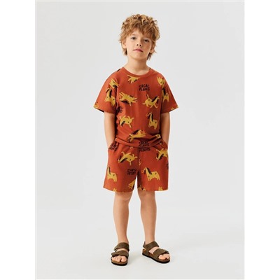 Acoola Набор 20124200025