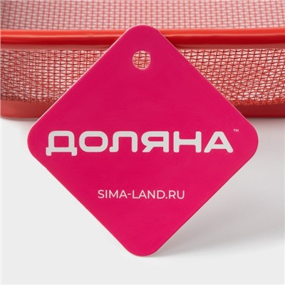 Крышка-сито Доляна «2 в 1», 28×20 см, красная