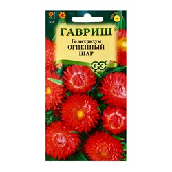 Семена цветов Гелихризум Огненный шар* 0,1 г
