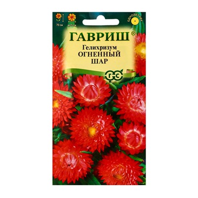 Семена цветов Гелихризум Огненный шар* 0,1 г