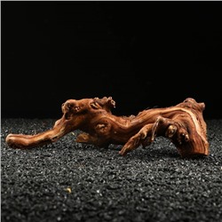 Коряга для аквариума «Лоза виноградная», 20 - 30 см