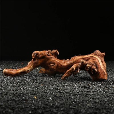 Коряга для аквариума «Лоза виноградная», 20 - 30 см