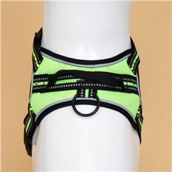 Шлейка улучшенная К7, размер S, ОГ 44-55 см, вес 5-9 кг, мягкая, светоотражающая, зелёная