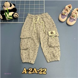 штаны 1981424-5