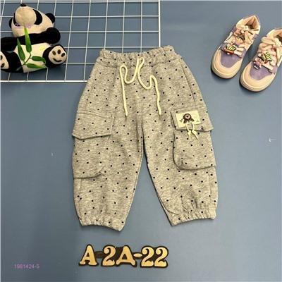 штаны 1981424-5