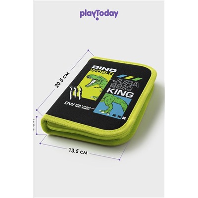 Пенал PLAYTODAY, 1178873