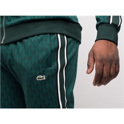 Спортивный костюм Lacoste