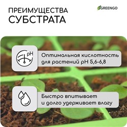 Субстрат кокосовый, универсальный, для террариумов и растений, в брикете, 65 л, Greengo