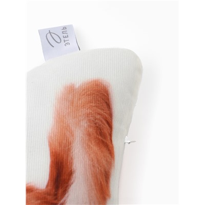 Подушка «Этель» Gingerl cat, 40×33 см, 100% п/э, велюр