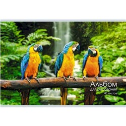 Альбом для рисования 40л "Попугаи" А402325 Эксмо