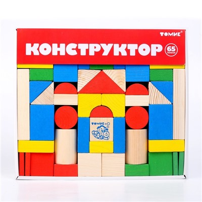 Конструктор «Цветной», 65 деталей