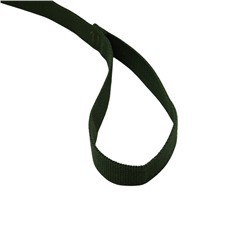 Поводок 3 м × 2.5 см, зелёный