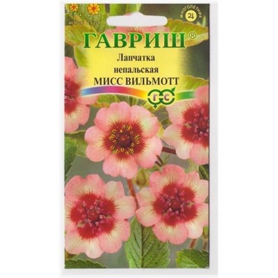 Лапчатка Мисс Вильмот (Код: 10475)