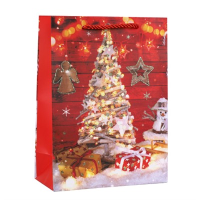 Пакет подарочный 18х24х8,5 / 5655-S /уп 12/720/Новый год