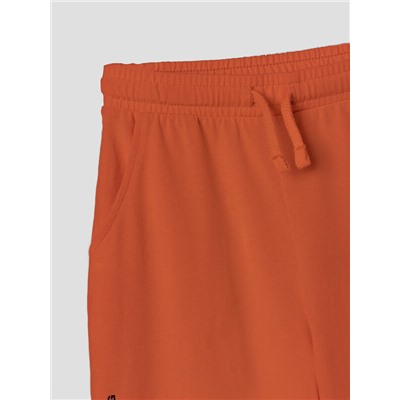 ШОРТЫ ДЛЯ МАЛЬЧИКОВ 133330