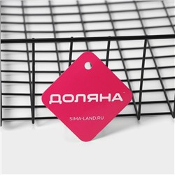 Корзина сетчатая навесная на полку Доляна, 40.5×25×14 см, чёрная