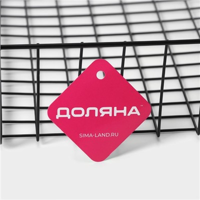 Корзина сетчатая навесная на полку Доляна, 40.5×25×14 см, чёрная