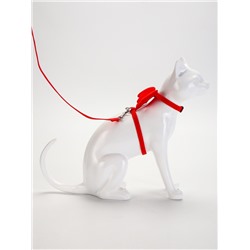 Комплект амуниции «Ангел», размер XS, шлейка 19-26 см, поводок 120×1 см, красный