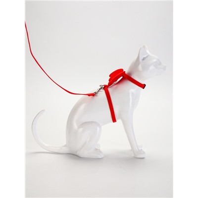 Комплект амуниции «Ангел», размер XS, шлейка 19-26 см, поводок 120×1 см, красный
