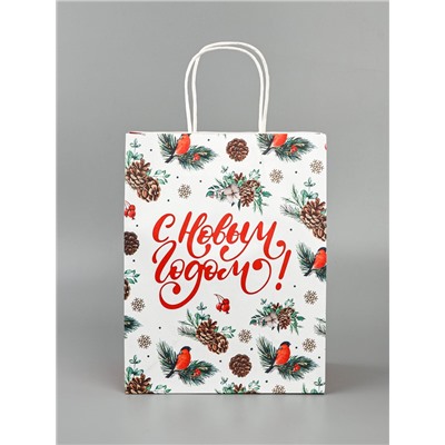Пакет бумажный подарочный новогодний крафт «Новый год» 27×21×11 см