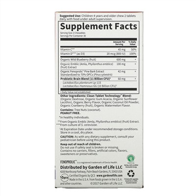 Garden of Life, Dr. Formulated Brain Health, внимание и концентрация для детей, вкус арбуза и ягод, 60 вкусных жевательных таблеток