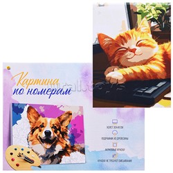 Холст с красками 30x40 по номерам "Спящий милый котик" в коробке (30цв.)
