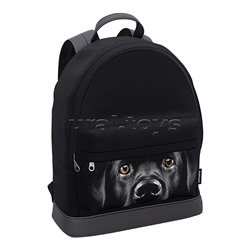 Рюкзак "StreetLine" с отделением для ноутбука 17L Black Dog