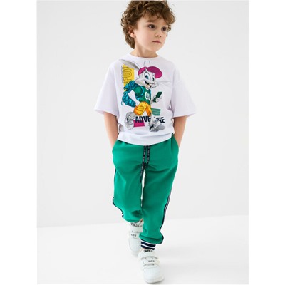 Фуфайка трикотажная для мальчиков (футболка)