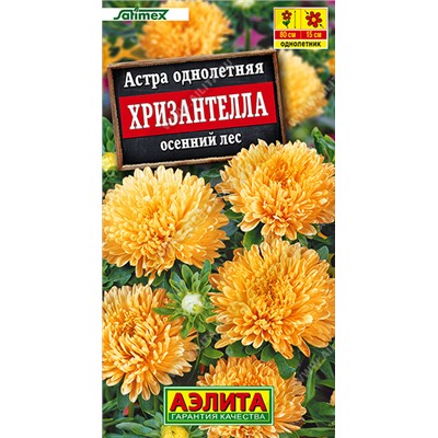 1996A Астра Хризантелла осенний лес 15шт