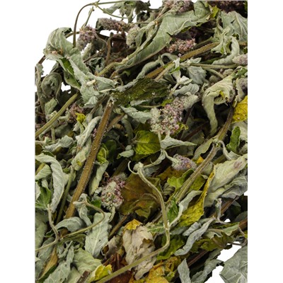 Веник для бани, мята, 45 (± 5 см), «Добропаровъ»