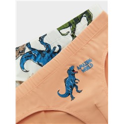 ТРУСЫ ДЛЯ МАЛЬЧИКОВ (2ШТ.) 413351-2