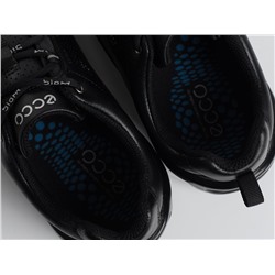 Кроссовки Ecco Biom