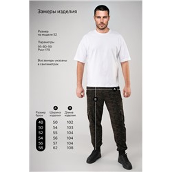 Мужские брюки из футера двухнитки Happyfox