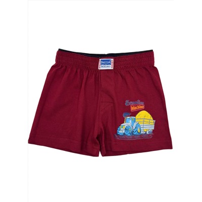 Трусы для мальчика Berrak