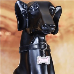 Адресник под записку «Косточка» малый, 3.2×2 см